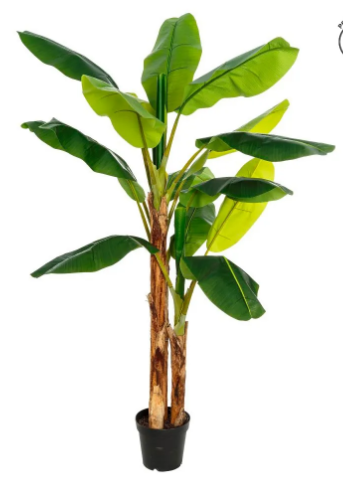 PLANTA PLATANERO VERDE 200cm /IXI107413 | IXIA