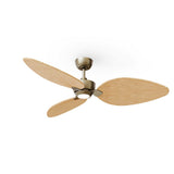 Ventilador de techo con luz Sulion Alma LED bronce motor DC 