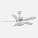 Ventilador de techo Fabrilamp Braw LED blanco haya 5 palas motor DC 3000-6000K Ø106cm 30W — vista 2