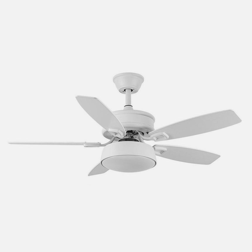 Ventilador de techo Fabrilamp Braw LED blanco haya 5 palas motor DC 3000-6000K Ø106cm 30W — vista 2