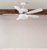 Ventilador de techo Fabrilamp Braw LED blanco haya 5 palas motor DC 3000-6000K Ø106cm 30W — vista 6