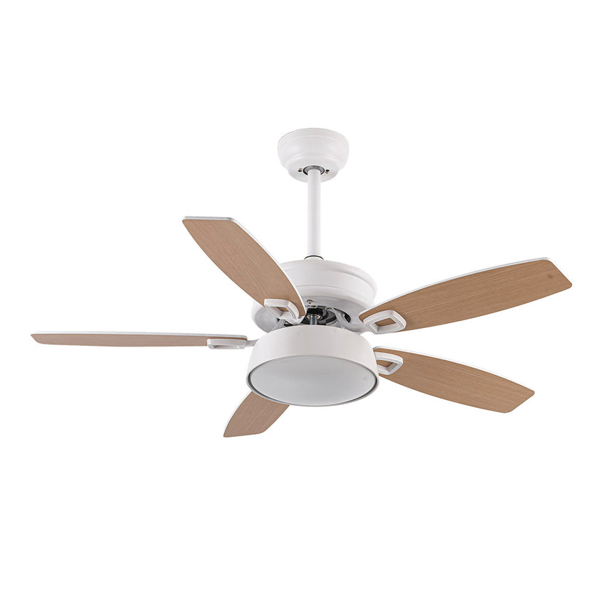 Ventilador de techo Fabrilamp Braw LED blanco haya 5 palas motor DC 3000-6000K Ø106cm 30W — vista 3