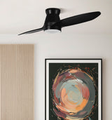 Ventilador de techo Fabrilamp Nordic LED negro 2 palas motor DC 3000-6000K Ø132cm 24W — vista 1