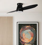 Ventilador de techo Fabrilamp Nordic LED negro 2 palas motor DC 3000-6000K Ø132cm 24W — vista 1