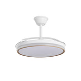 Ventilador de techo retráctil con luz AJP Dublin LED madera clara 3 palas 3000-6500K Ø50cm 68W 16003 — vista 4
