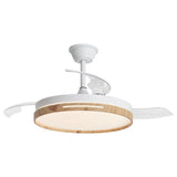 Ventilador de techo retráctil con luz AJP Togo LED negro 3 palas 3000-6500K Ø50cm 68W 16034 — vista 10